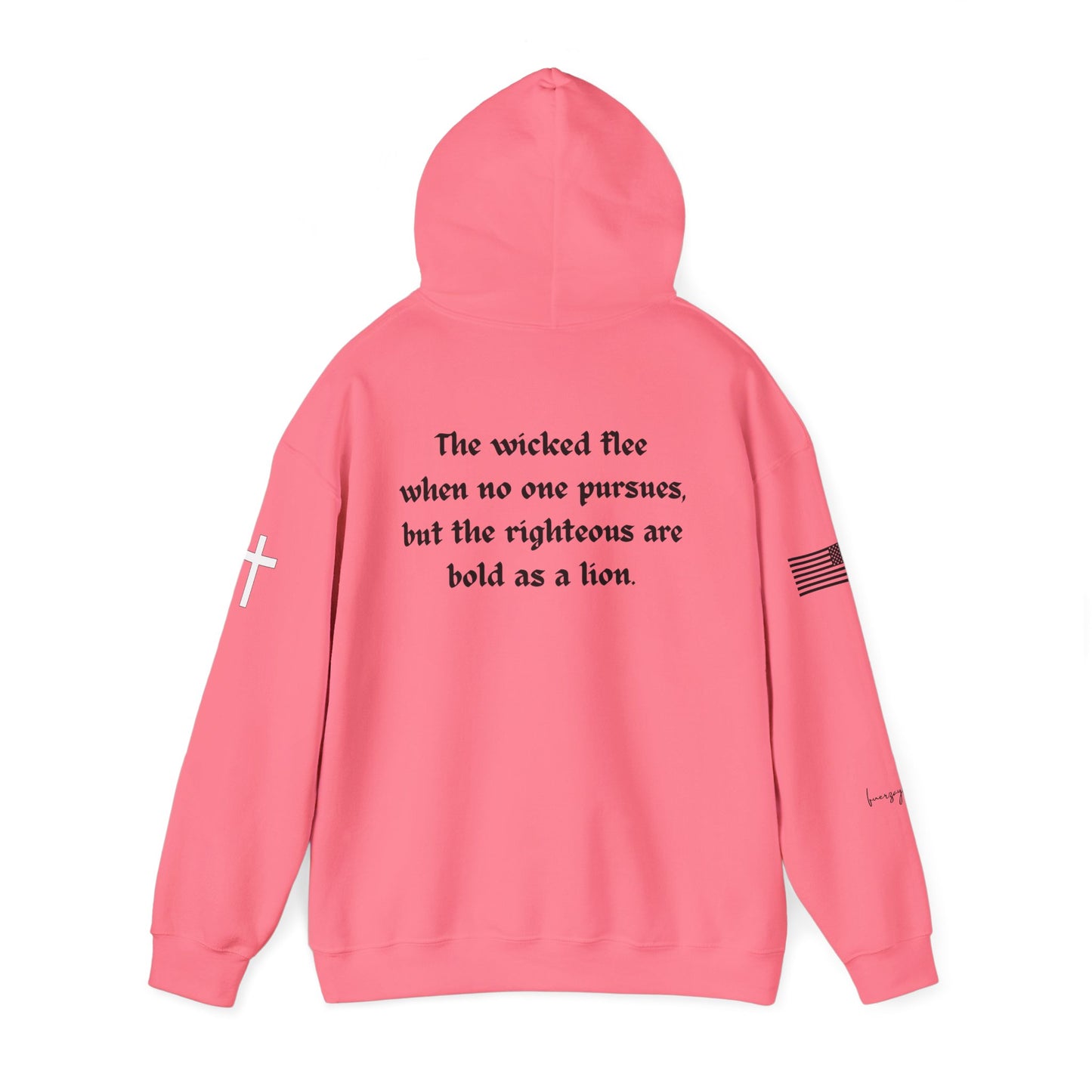 Proverbs 28:1, Hoodie, Unisex Heavy Blend Sweatshirt