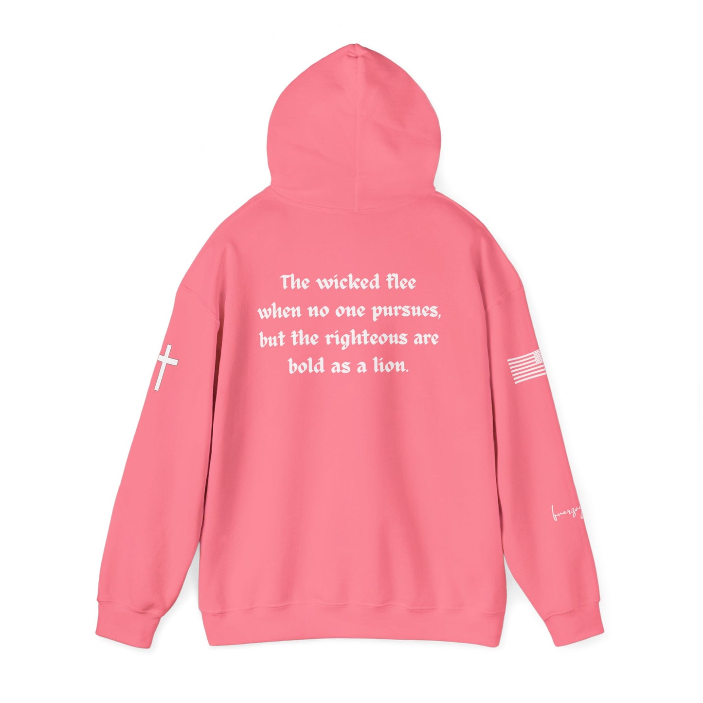 Proverbs 28:1, Unisex Heavy Blend Sweatshirt