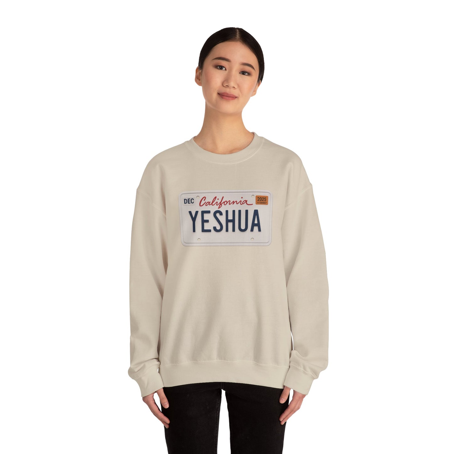 Yeshua Plate
